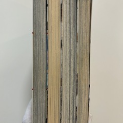幻想ギネコクラシー 1 沙村 広明　他全4冊セットの画像