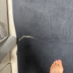 絨毯の画像