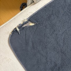 絨毯の画像