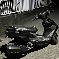 シグナス４型の画像