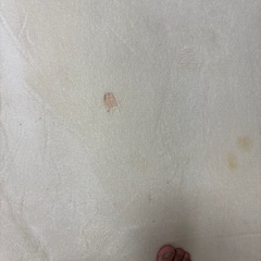 絨毯の画像