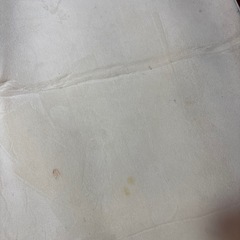 絨毯の画像