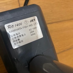 60cm背面オーバーフロー水槽　持ち帰り限定の画像