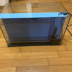 60cm背面オーバーフロー水槽　持ち帰り限定の画像