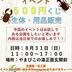 8/31(日)1回500円昆虫くじ
