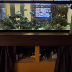 水槽　1800 900 600   ろ過そう1500の画像