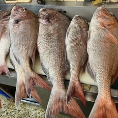 兵庫県、須磨、鮮魚加工、販売員募集の画像