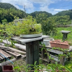 こんな感じのブロックもあります❣️何かに使えるかなぁ🥺の画像