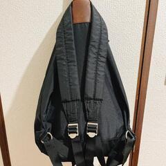 フレデリックパッカーズ リュックの画像