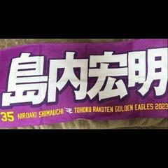 楽天イーグルス島内選手応援タオルとフェスタオルの画像