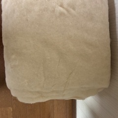 綿　コットンの画像