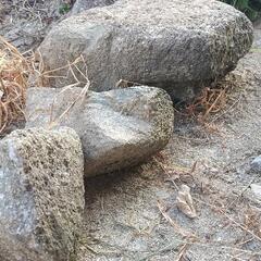 庭石の画像
