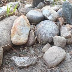 庭石の画像