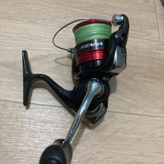 SHIMANO  シエナの画像