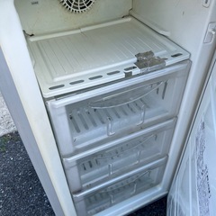 冷凍庫無料ですの画像