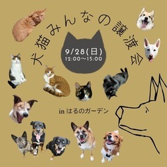 第11回犬猫みんなの譲渡会