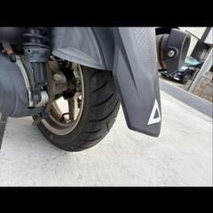 シグナス　4型の画像