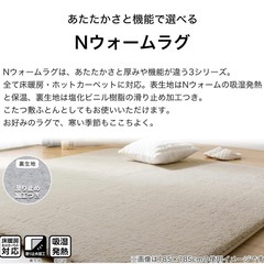 ニトリ(NITORI) ラグ NW-WSP 200X240 の画像