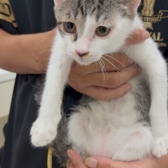 仲良し姉妹♡ʾʾ