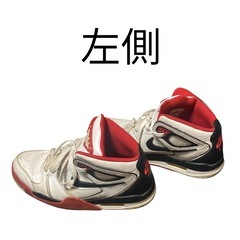 NIKE AIR FLIGHT FALCON　の画像