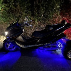注目間違い無し❗️⭐️マジェスティトライク❗️フルカスタム⭐️普通自動車免許東京都より⭐️の画像