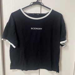 Tシャツ3枚セットの画像