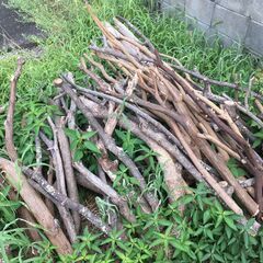 木の枝を貰ってくれる方を探していますの画像