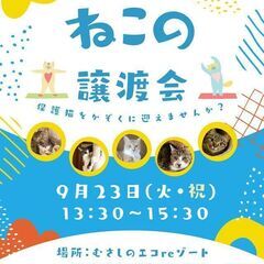 むさしの地域猫の会　ねこちゃん譲渡会開催