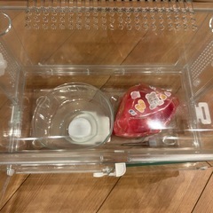 ハムスターゲージ🐹トイレ付き🚽の画像