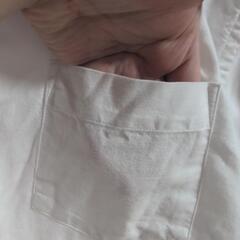 シャツの画像