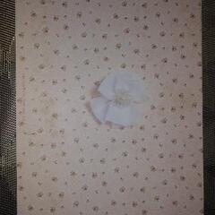 南野陽子写真集の画像