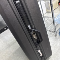 キャリーバッグの画像