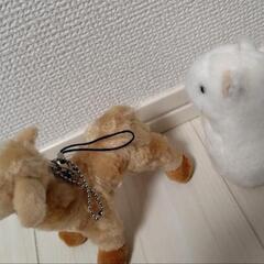 ぬいぐるみ　2体セット　オコジョ&アルパカの画像