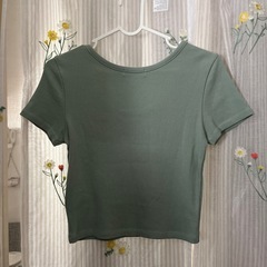 レディースtシャツの画像