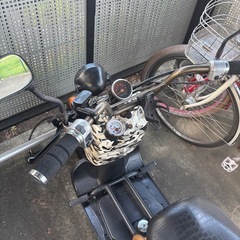 ホンダズーマー三輪トライクの画像