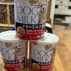 子犬のミルクの画像