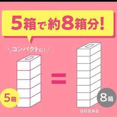 scottie　500枚250組　大容量ティッシュボックスの画像