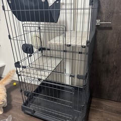アイリスオーヤマ キャットケージ ３段 ハンモックの画像