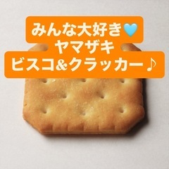 【完全無料】早い者勝ち 訳あり ヤマザキ クラッカー 食料…