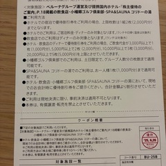 決まりました　　ビューホテル、サンパレス、湖の栖、ニュー阿寒等　割引券　8000円分の画像