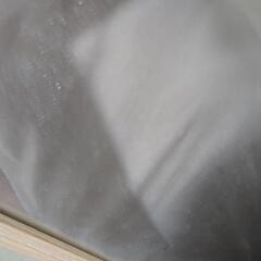 鏡の画像
