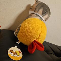 モフサンド　エビにゃんの画像
