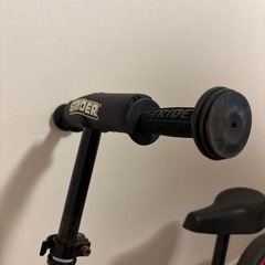 ストライダの画像
