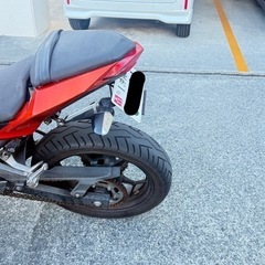 z250の画像