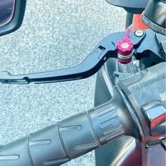 z250の画像