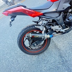 z250の画像