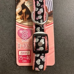 小型犬用首輪2点セットの画像