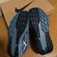 ナイキ ペガサス トレイル 5 GORE-TEX メンズ 防水 トレイル ランニングシューズの画像