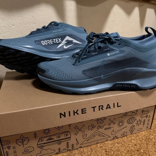 ナイキ ペガサス トレイル 5 GORE-TEX メンズ 防水 トレイル ランニングシューズ