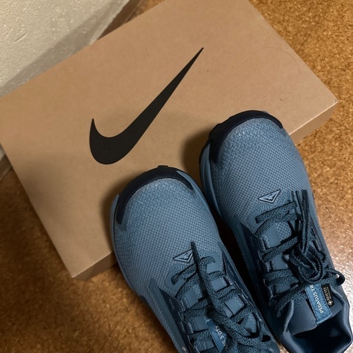 ナイキ ペガサス トレイル 5 GORE-TEX メンズ 防水 トレイル 